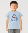 �s�\��tSHIPS Colors:100�`130cm /�q��􂢉\�r�X�p���R�[�� �h�J T�V���c�� ���C�g�u���[
