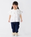 SHIPS Colors:80�`130cm / �����N �t�����[ �G���u���C�_���[ �J�b�g�\�[��
