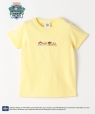 �s�\��tSHIPS Colors:80�`110cm / �p�E�E�p�g���[�� �v�����g T�V���c�� �C�G���[
