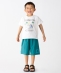 SHIPS Colors:90�`140cm / �q�z�������r�}���`�t�@���N�V���� �J���[ �V���[�c