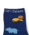 SHIPS Colors:�A�j�}�� �\�b�N�X (KIDS)