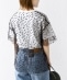 �yWEB����z�X�^�[ �`���[�� ���C���[�h TEE