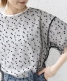 �yWEB����z�X�^�[ �`���[�� ���C���[�h TEE �I�t�z���C�g