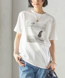 �ySHIPS�ʒ��zCOUTURE D'ADAM:Sam Haskins �t�H�g TEE