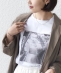 �����e�B �R�b�g�� �t�H�g �v�����g TEE