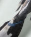 �ySHIPS�ʒ��zACASAM: �t�H�g TEE