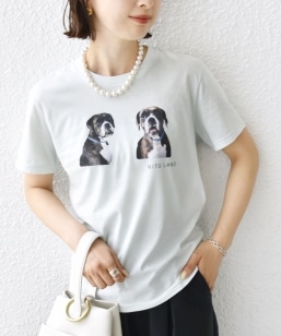 �ySHIPS�ʒ��zACASAM: �t�H�g TEE