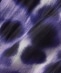 ChristianWijnants:PAMIR �p���c