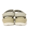 TEVA:HURRICANE XLT�Q AMPSOLE ��