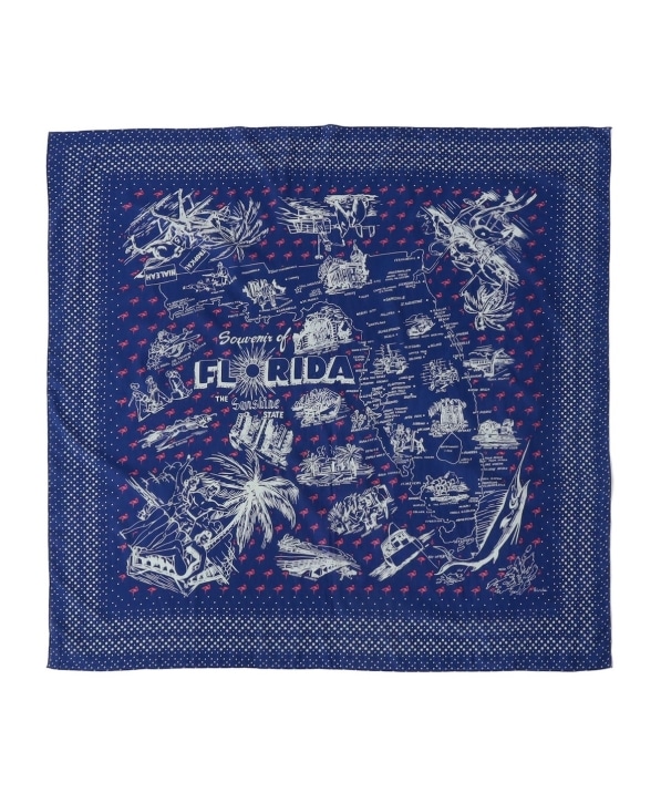 BINDU:FLORIDA �o���_�i