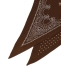 �s�\��tdestin: Judy Triangle Bandana