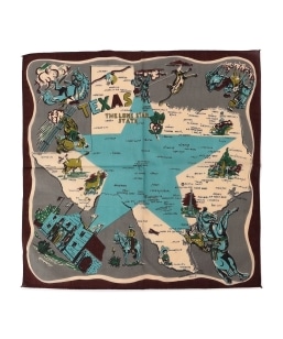BINDU:TEXAS �o���_�i