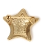 IRIS47:wonder brooch