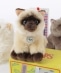 BON TON TOYS:B.T. CHAPS :DOG&CAT �ʂ������