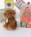 BON TON TOYS:B.T. CHAPS :DOG&CAT �ʂ������