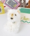 BON TON TOYS:B.T. CHAPS :DOG&CAT �ʂ������