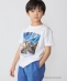 DQVIIR × SHIPS:100�`140cm �^�C�g���W���P�b�g T�V���c�qKIDS�r