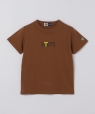 SHIPS KIDS:100�`140cm /��_�^�C�K�[�X×SHIPS �J���[���S T�V���c �u���E��