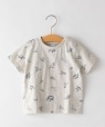SHIPS KIDS:���� �v�����g ���� TEE(80�`90cm) �i�`������