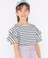 SHIPS KIDS:140�`150cm / �I�[�K�j�b�N �R�b�g�� �t���� �X���[�u TEE �u���[