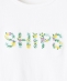 SHIPS KIDS:140�`150cm / �K�[���[ �h�J ���S T�V���c