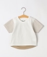 SHIPS KIDS:80�`90cm / �`�F�b�N �ؑ� ���� TEE �I�t�z���C�g