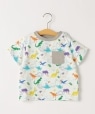 SHIPS KIDS:80�`90cm /�_�C�i�\�[ T�V���c �I�t�z���C�g