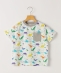 SHIPS KIDS:120�`130cm /�_�C�i�\�[ T�V���c