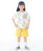 SHIPS KIDS:120�`130cm /�_�C�i�\�[ T�V���c