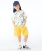 SHIPS KIDS:120�`130cm /�_�C�i�\�[ T�V���c