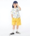 SHIPS KIDS:120�`130cm /�_�C�i�\�[ T�V���c