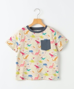SHIPS KIDS:100�`110cm /�_�C�i�\�[ T�V���c