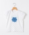 SHIPS KIDS:80�`90cm / �T�}�[ ���`�[�t ���� T�V���c �A�C�{���[