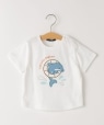 SHIPS KIDS:80�`90cm / �C���J ���`�[�t �x�r�[ T�V���c �I�t�z���C�g