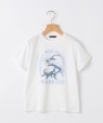 SHIPS KIDS:80�`90m /�q�ڐG�⊴/�z�������r�V�[�r�[�X�g ���� T�V���c �I�t�z���C�g