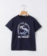 SHIPS KIDS:80�`90m /�q�ڐG�⊴/�z�������r�V�[�r�[�X�g ���� T�V���c �l�C�r�[