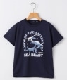 SHIPS KIDS:140�`160m /�q�ڐG�⊴/�z�������r�V�[�r�[�X�g ���� T�V���c �l�C�r�[