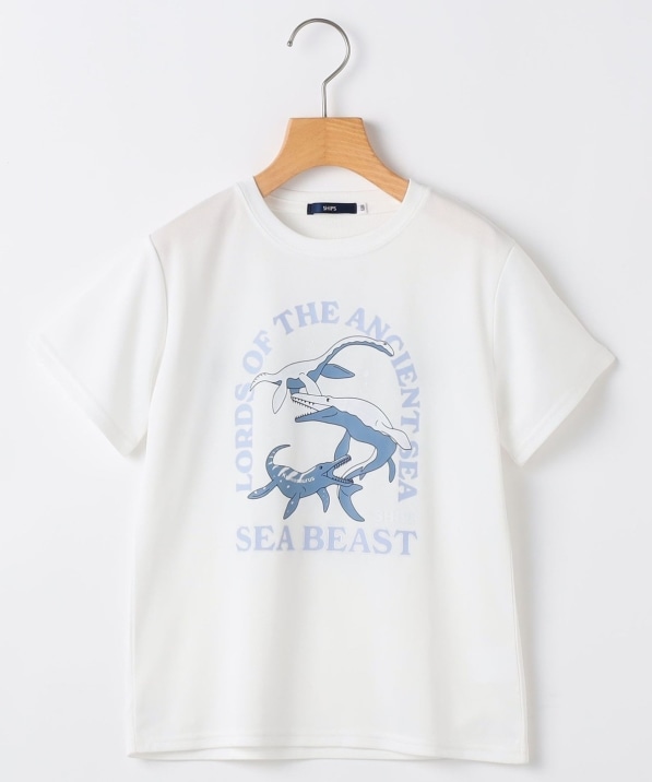 SHIPS KIDS:140�`160cm /�q�ڐG�⊴/�z�������r�V�[�r�[�X�g ���� T�V���c