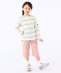SHIPS KIDS:100�`130cm / �J���[ 6���� �V���[�c