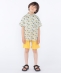 �ySHIPS KIDS�ʒ��zGramicci:100�`130cm /�f�����u�� �i�C���� �V���[�c