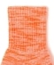 �ySHIPS KIDS�ʒ��zROSTER SOX:�l�I���J���[ �\�b�N�X