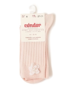 condor:�t�����[ ���u �\�b�N�X