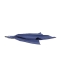 THE PARK SHOP:WATERBOY BANDANA �L���b�v
