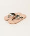 SHIPS any×CYAARVO: �ʒ� �i�`���������o�[ �r�[�`�T���_��