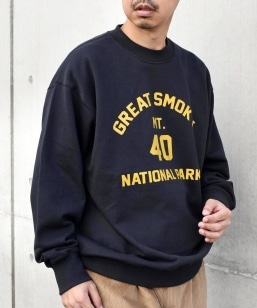 �yWEB����zSHIPS any: NATIONAL PARK �v�����g �X�E�F�b�g 23AW��