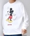SHIPS any: /�~�b�L�[�}�E�X/ �T�C�� & �|�[�W���O T�V���c (����T)��