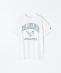 Champion:�q����@�\�r�O���t�B�b�N ���S �V���[�g �X���[�u TEE