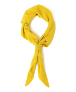 COSY: �g���C�A���O�� �X�J�[�t