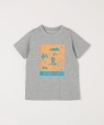 THE NORTH FACE: �V���g�R�g�R �v�����g T�V���c<KIDS> �O���[