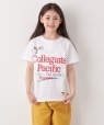 �ySHIPS any�ʒ��zCollegiate Pacific:�q����@�\�rV�K�[�b�g �v�����g & �h�J T�V���c<KIDS> �z���C�g